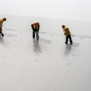 Lee más sobre el artículo Proyecto piloto: semana laboral de 4 días