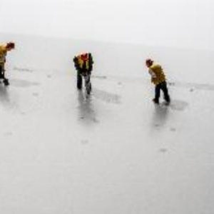 shutterstock2026467593-bcSize-300x300